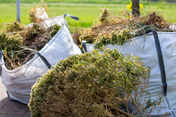 Best Office Junk Removal  in Lyons, CO
